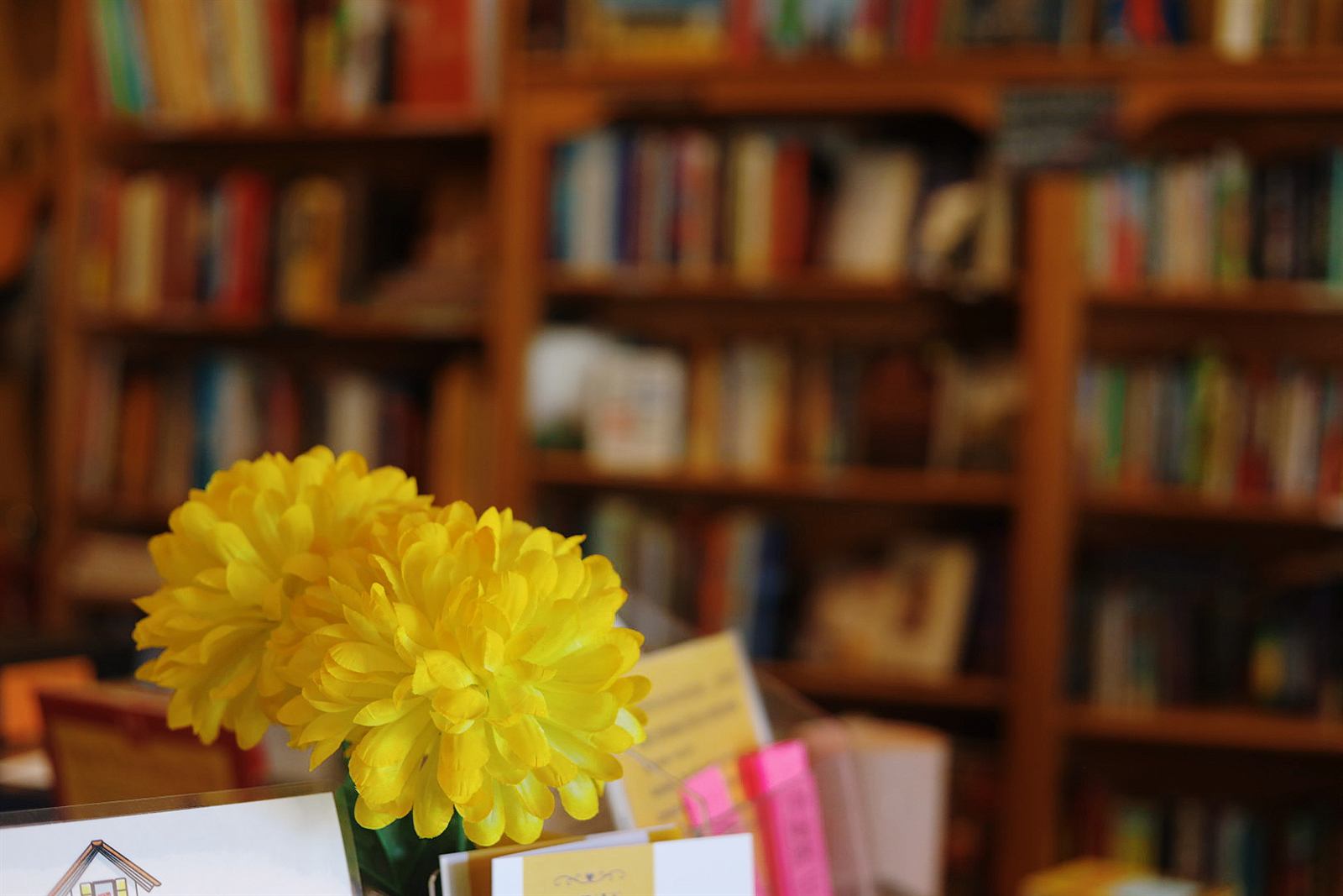 Yellow flowers on a table in front of blurred wooden bookshelves